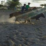 Profile Picture of jose fernando carneiro (@fernando_carneiro23) on Instagram