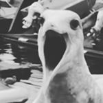 Profile Picture of Camden James Amidon (@amidoncamden) on Instagram