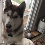 alfonso_aguilera7810 - Instagram Profile Picture of alfonso_aguilera7810 (@alfonso_aguilera7810) on Instagram