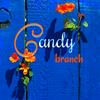 Profile Picture of candybranch art (@candybranch0) on Tiktok