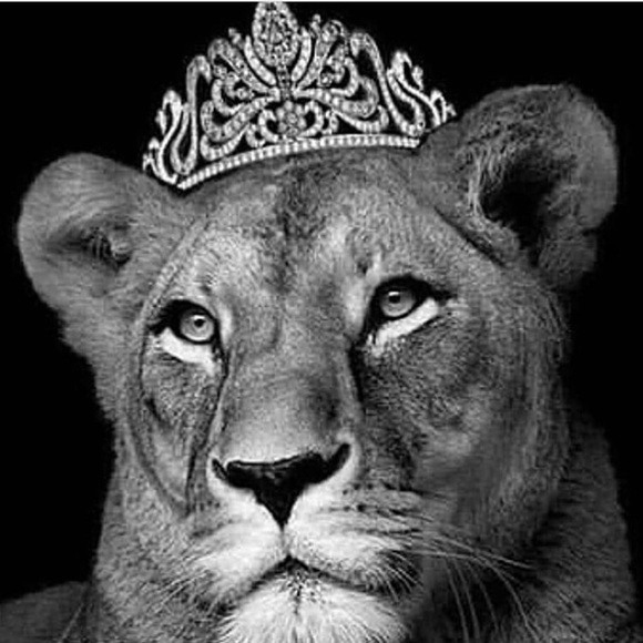 Profile Picture of Abigail Swire (@abbiiwabbii21) on Poshmark