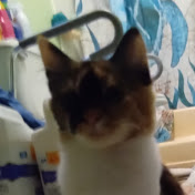 Profile Picture of Charles Hansen (@charleshansen5436) on Youtube