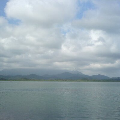 Profile Picture of Lily Ng (@lilyng3) on Twitter