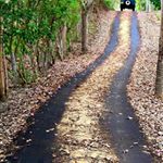 Profile Picture of mick perry (@mickp1958) on Instagram