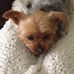 Profile Picture of Lynn Labrecque (@lynn.labrecque.1) on Facebook