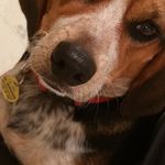 Profile Picture of Chris Rummel (@chrisrummel) on Instagram