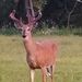 Profile Picture of Jerry Kersten (@jerrykersten) on Pinterest