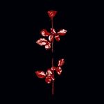 Profile Picture of Thomas Loving (@ultramarooned) on Instagram