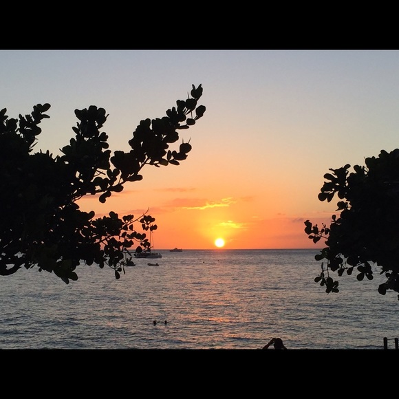 Profile Picture of Lisa Doten (@ldoten) on Poshmark