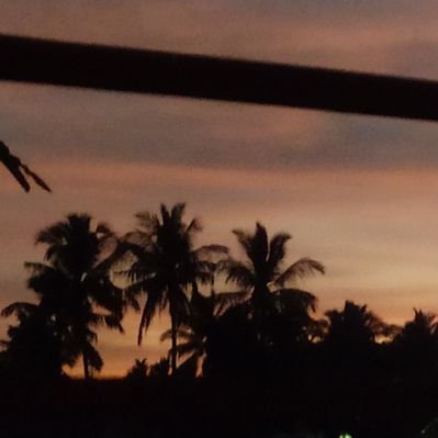 Profile Picture of Sushree Dash (@SushreeDash12) on Twitter