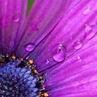 Profile Picture of Michael McClinton (@M1KEYMCC) on Twitter