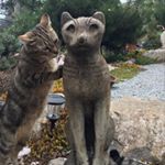 Profile Picture of Nancy Horiuchi (@nancy.horiuchi) on Instagram