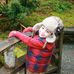 Profile Picture of Ann Huynh (@ann.huynh.5680) on Facebook