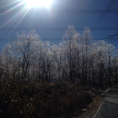 Profile Picture of Brian Pattison (@PattisonOtters) on Twitter