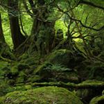 Profile Picture of Marcus Rockel (@withopenarmsbeforethedawn) on Instagram