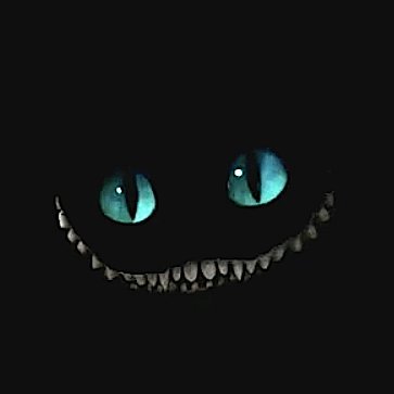 Profile Picture of Alex Senger (@AlexSenger8) on Twitter