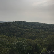 Profile Picture of Jacob Bruner (@goldfishgamer1310) on Youtube