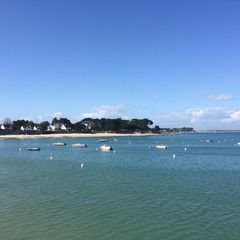 Profile Picture of bertrandarhuis1 (@bertrandarhuis1) on Tiktok