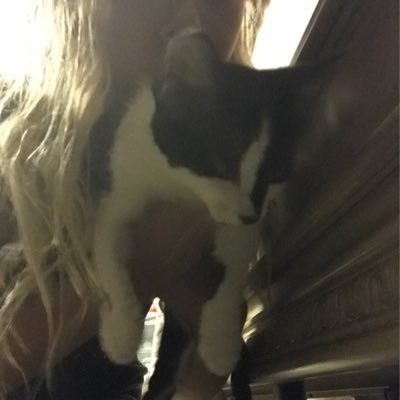 Profile Picture of Cassidy Gurzi (@CassidyGurzi) on Twitter