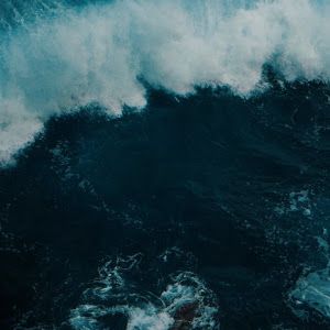 Profile Picture of josepicerno (@josepicerno) on Tiktok