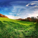 Justin Young - Instagram Profile Picture of Justin Young (@delinquent_ocelot) on Instagram