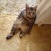 Profile Picture of Sandy Kramer (@sandy.kramer.5099940) on Facebook