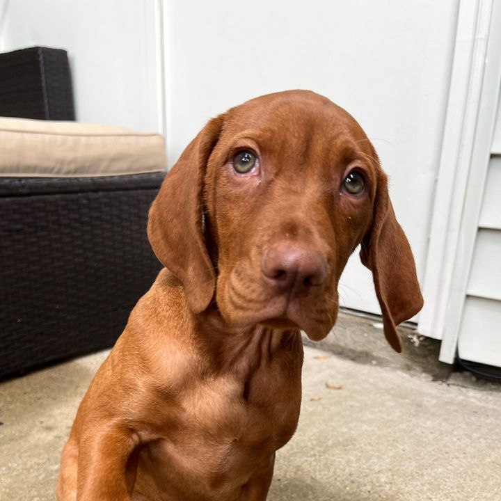 Profile Picture of theodore_living_bold (@theodore_living_bold) on Tiktok