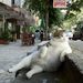 Profile Picture of Đăng Châu Nhật (@chaunhatdang1899) on Pinterest