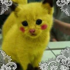 Profile Picture of Barbara Clay (@@barbaraclay3) on Tiktok