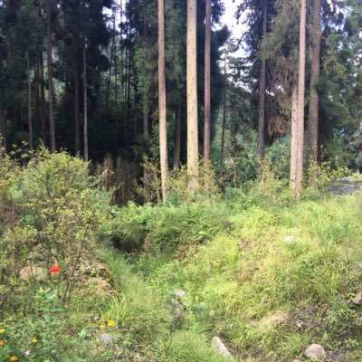 Profile Picture of Scott.Lau (@lauchienyung) on Twitter