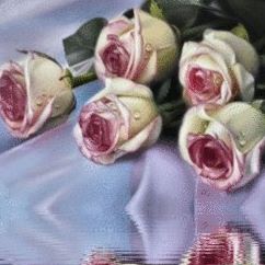 Profile Picture of Abel Max Nujurally (@abelmax.nujurally) on Facebook