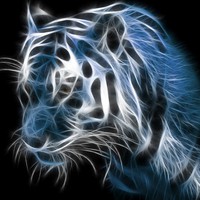 Profile Picture of Cody Hand (@cody-hand-10) on Quora