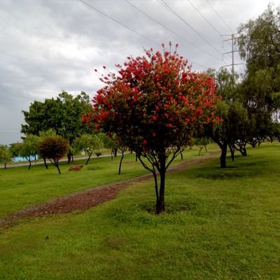 Profile Picture of Trinidad Andráde Cisneros (@TrinidadAndrde1) on Twitter