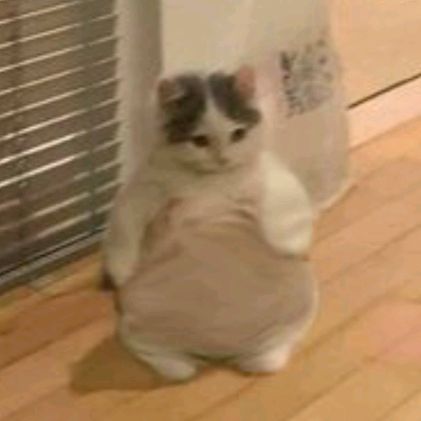 Profile Picture of Aleks_stojanovic (@aleks_stojanovic9) on Tiktok