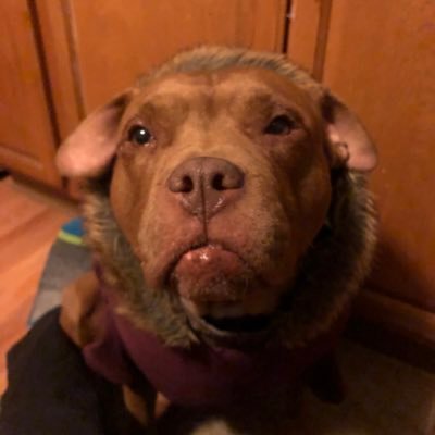 Profile Picture of Paul Ferrante (@DIRTYPONCHO420) on Twitter