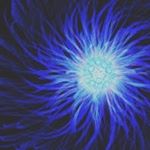 Profile Picture of Scott Amundsen (@amundsen__) on Instagram