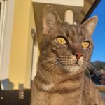 Profile Picture of Marlene Fuchsberger (@marlenefuchsberger) on Instagram