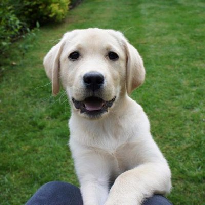 Profile Picture of Cathy Dore (@@catedore) on Twitter