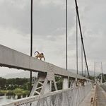 Profile Picture of alvinpattersong (@alvinpattersong) on Instagram