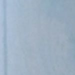 zachary foley - Instagram Profile Picture of zachary foley (@zachary_foley_01) on Instagram