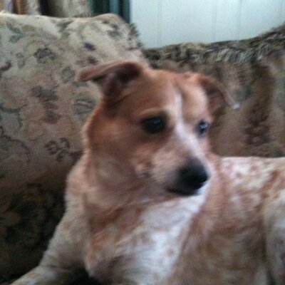 Profile Picture of Steve McMullen (@Shm56Steve) on Twitter