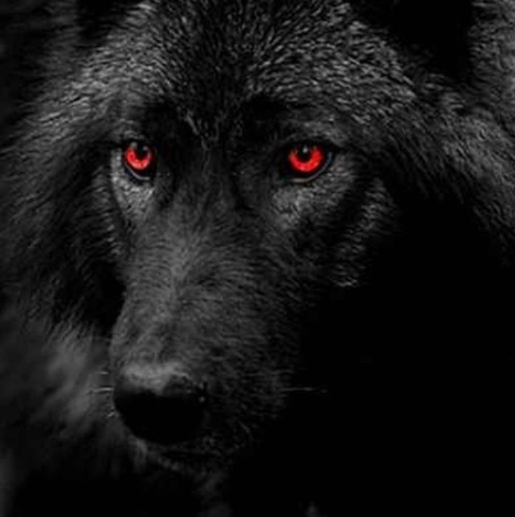 Profile Picture of Darrick Stewart (@darrickstewart) on Poshmark