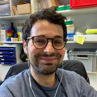 Profile Picture of Hajk-Georg Drost (@HajkDrost) on Twitter