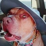 Profile Picture of jim_wester@msn.com (@jim.wester14) on Instagram