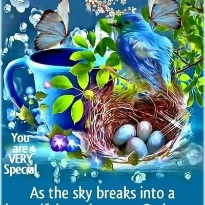 Profile Picture of Buddy Jordan (@BuddyJordan7) on Twitter