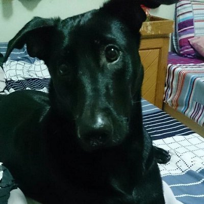 Profile Picture of Ted Hsu (@Ted_HsuFengJen) on Twitter