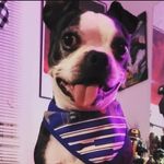 Profile Picture of Kyle W. Pippi (@oswald_thekaiju) on Instagram