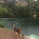 Profile Picture of Ray Gallant (@raygallantelectric) on Instagram