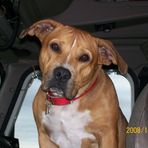 Profile Picture of Timothy Maciejewski (@timothy.maciejewski.5) on Facebook