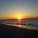 Profile Picture of David Lococo (@davidlococo0079) on Pinterest